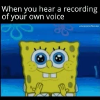 Voz de paneleiro voice changer