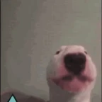 guardian voice changer