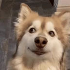 deep voice voice changer