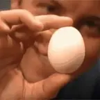 one egg voice changer