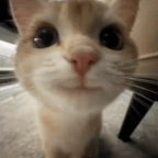 Clean Mic voice changer