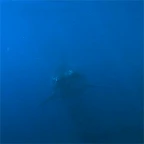 Hydroid different voice changer