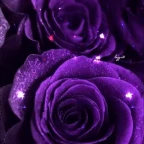 hope kivana voice changer