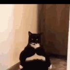 komisch_light_jolux voice changer