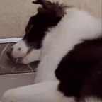 COLLLY voice changer