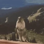 Ben Costa voice changer