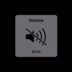unmute voice changer