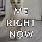 FOR ME OK voice changer