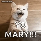 Mary voice changer