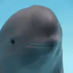 Dolphin voice changer