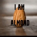 Almond voice changer