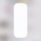 ECO CON PITCH voice changer