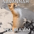 savannah voice changer