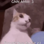 Ignore this :3 voice changer