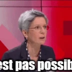 sandrine rousseau voice changer