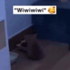 even more wiwiwi voice changer