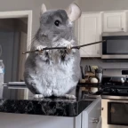 laalal voice changer