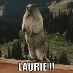 LAURIE voice changer