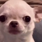 desmond dis voice changer