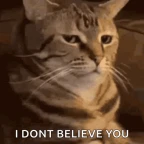 muiiiiiiii voice changer