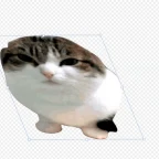 spamtong voice changer