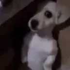 Extremely broken mic voice changer