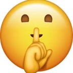 basically muted voice changer