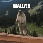 Wally voice changer