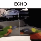 echooooo voice changer
