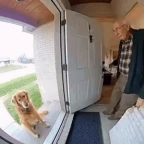 civitas core voice changer