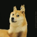 random voice changer