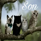 STUDSONG voice changer