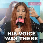 a voice voice changer