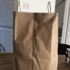 bag voice changer