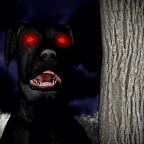 Creppy Dog voice changer