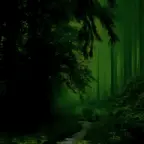 creature of the forest voice changer