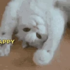 birthday voice changer