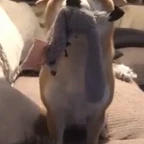 Binka Boo voice changer