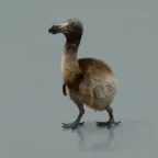 Dododo? voice changer