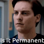 Permant voice changer