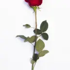 Girl 2 voice changer