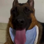 Cool robot voice voice changer