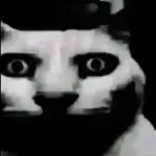 VOix saturée voice changer