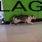 laggy voice voice changer