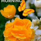 flower custom voice changer