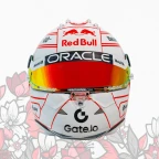 visitor voice changer