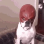 DareDevil voice changer