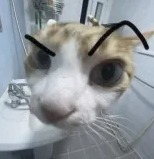 Combine voice changer