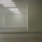 Bacteria Elder voice changer