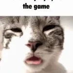 ahhhhh meme - Sound